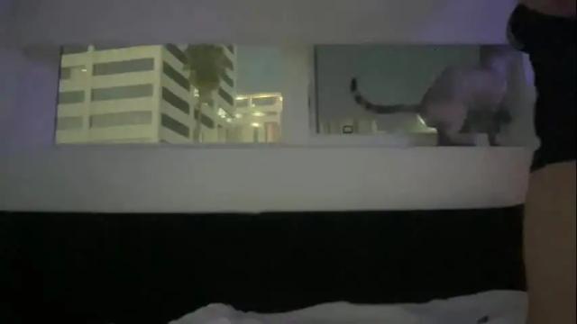 Image 3 of rosewater861 Stream on Chaturbate on 2 months ago