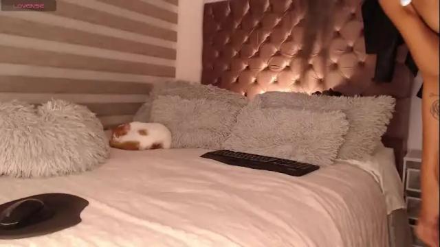 Image 7 of rouss_henao Stream on Chaturbate on 2 months ago