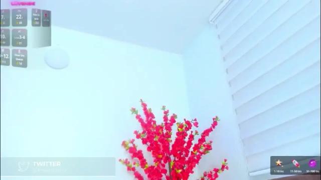 Image 8 of roxanasmiith Stream on Chaturbate on 1 month ago