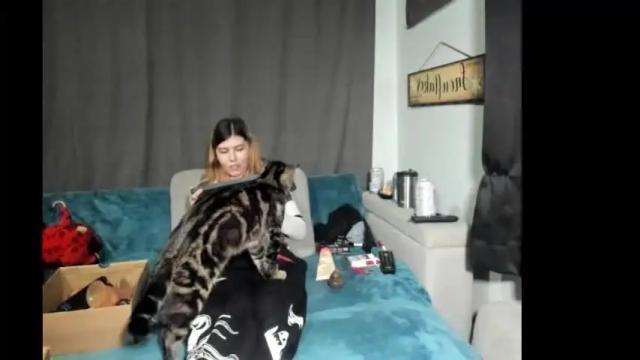 Image 7 of roxihazeleyes Stream on Chaturbate on 20 days ago