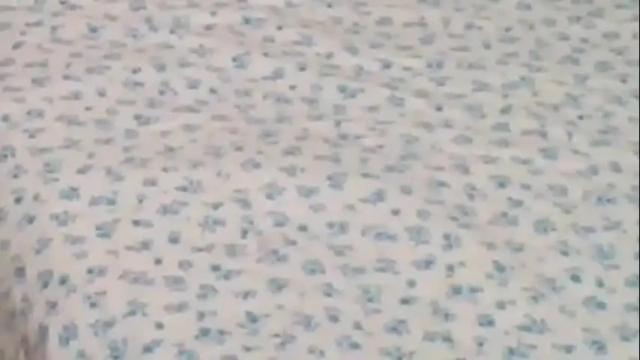 Image 6 of roxxywharton Stream on Chaturbate on 14 days ago