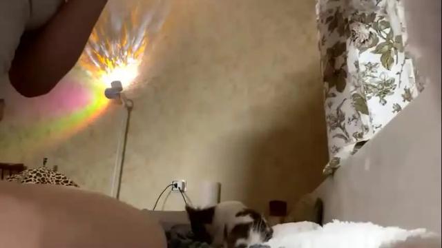 Image 8 of roxy_bowman Stream on Chaturbate on 1 month ago