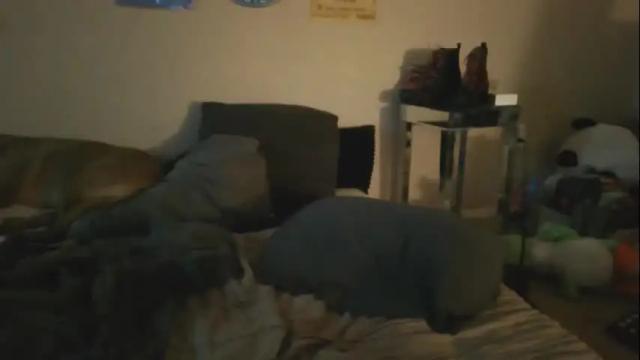 Image 12 of rubygoldbbyy Stream on Chaturbate on 17 months ago