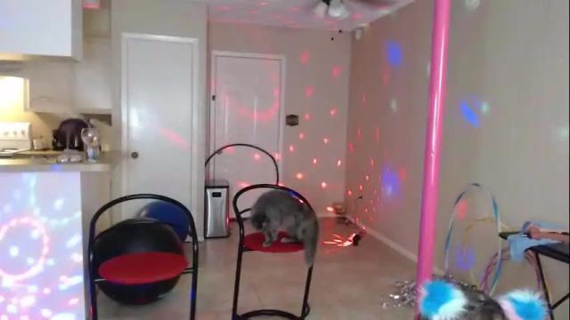 Thumbnail 1, rumpdaycircus's Stream at Chaturbate, 12 days ago