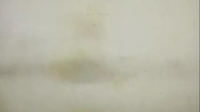 Thumbnail 1, rupali01's Stream at Chaturbate, 20 days ago