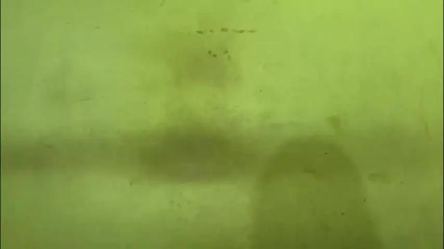 Image 8 of rupali01 Stream on Chaturbate on 28 days ago