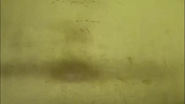 Image 10 of rupali01 Stream on Chaturbate on 21 days ago