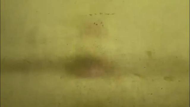 Image 4 of rupali01 Stream on Chaturbate on 20 days ago