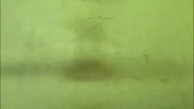 Image 11 of rupali01 Stream on Chaturbate on 12 days ago