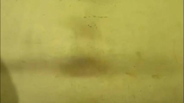 Image 12 of rupali01 Stream on Chaturbate on 12 days ago