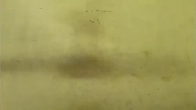 Image 4 of rupali01 Stream on Chaturbate on 2 days ago