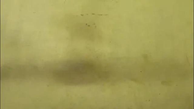 Thumbnail 1, rupali01's Stream at Chaturbate, 21 hours ago