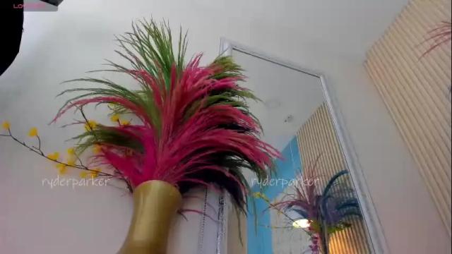 Image 10 of ryderparker Stream on Chaturbate on 26 days ago