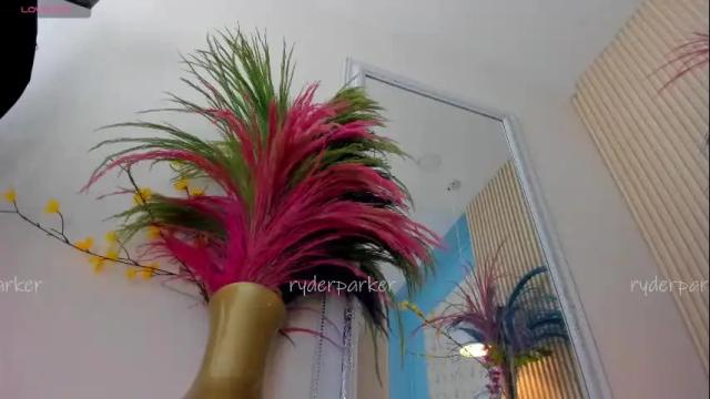 Thumbnail 2, ryderparker's Stream at Chaturbate, 25 days ago