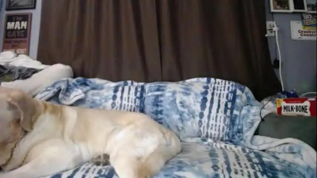 Thumbnail 1, sabrinalexington's Stream at Chaturbate, 9 days ago