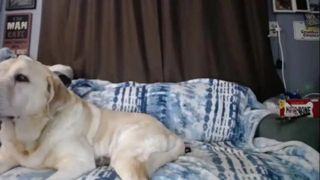 Image 11 of sabrinalexington Stream on Chaturbate on 11 days ago