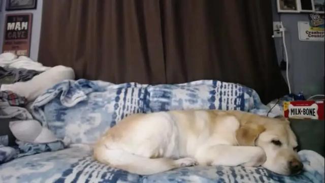 Image 7 of sabrinalexington Stream on Chaturbate on 11 days ago