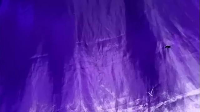 Image 2 of sadistic_cave Stream on Chaturbate on 2 months ago