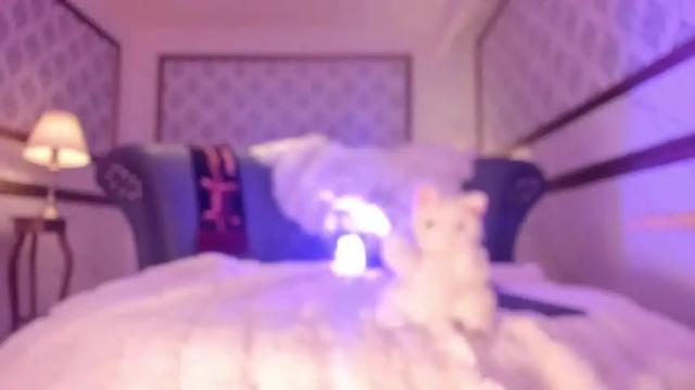 Image 12 of sadisticdoll Stream on Chaturbate on 18 months ago