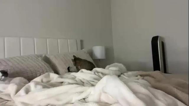 Image 6 of sageybaby333 Stream on Chaturbate on 1 month ago