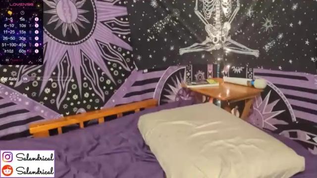 Image 3 of salandrical Stream on Chaturbate on 20 months ago
