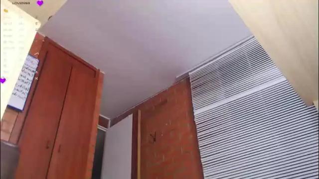 Image 11 of salome_sw Stream on Chaturbate on 1 month ago