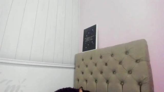 Image 8 of samanthaanderson Stream on Chaturbate on 13 months ago