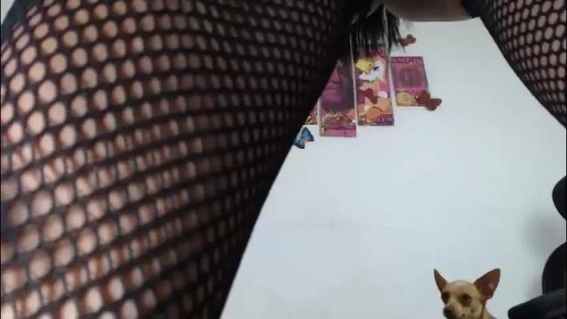 Image 12 of sammy_exotic Stream on Chaturbate on 2 months ago