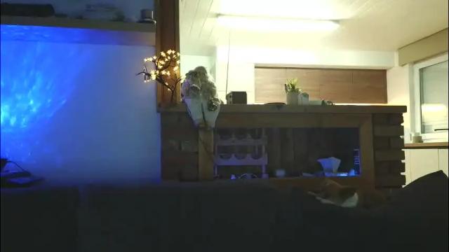 Image 6 of sanroom Stream on Chaturbate on 1 month ago