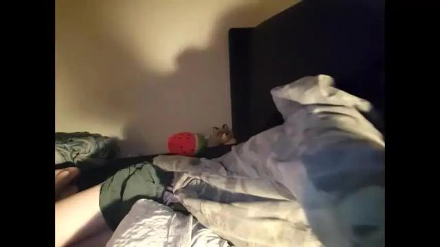 Thumbnail 1, sapphicvoid's Stream at Chaturbate, 3 months ago