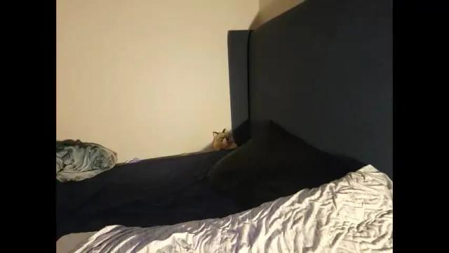 Image 11 of sapphicvoid Stream on Chaturbate on 3 months ago