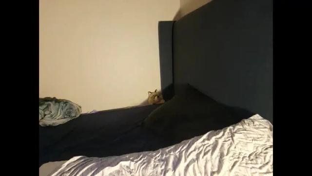 Image 12 of sapphicvoid Stream on Chaturbate on 3 months ago