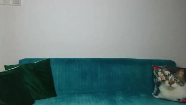 Image 3 of sara_daisy Stream on Chaturbate on 2 months ago