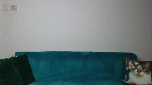 Image 10 of sara_daisy Stream on Chaturbate on 1 month ago