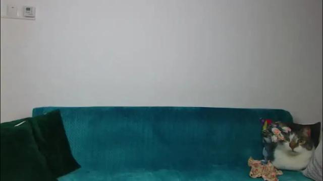 Image 4 of sara_daisy Stream on Chaturbate on 1 month ago