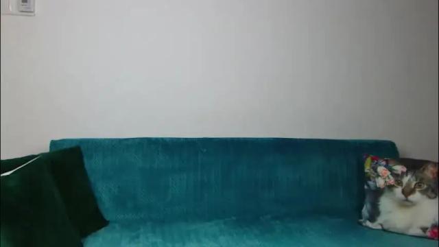 Image 11 of sara_daisy Stream on Chaturbate on 3 days ago