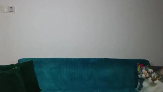 Thumbnail 1, sara_daisy's Stream at Chaturbate, 1 month ago