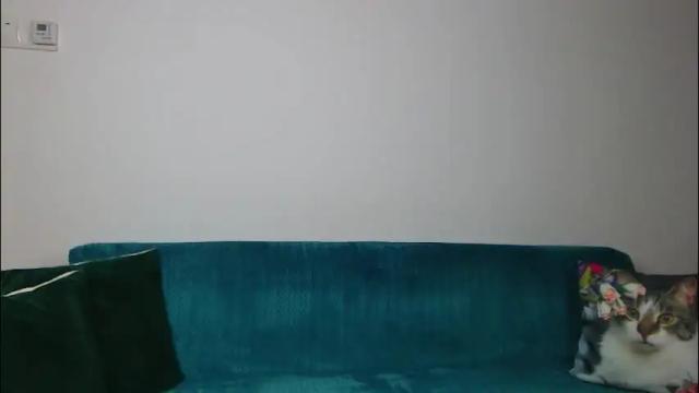 Thumbnail 1, sara_daisy's Stream at Chaturbate, 28 days ago