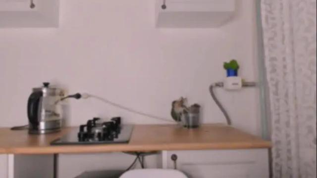 Image 4 of sara_kox Stream on Chaturbate on 4 days ago