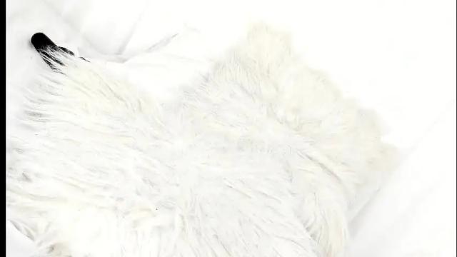 Image 3 of sara_kurt Stream on Chaturbate on 1 month ago