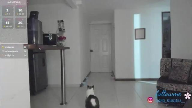 Image 10 of sara_montes Stream on Chaturbate on 1 month ago