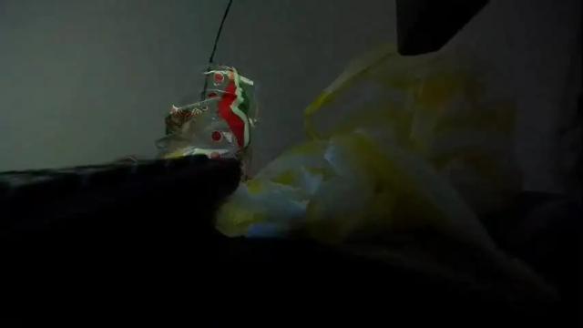 Image 10 of sara_valentina2 Stream on Chaturbate on 2 months ago