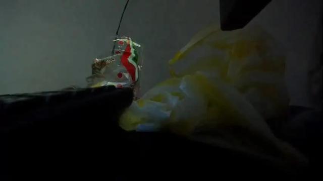 Image 12 of sara_valentina2 Stream on Chaturbate on 2 months ago