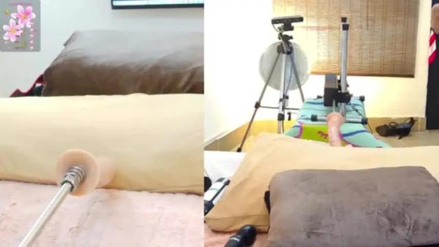 Image 7 of sara_velez_40 Stream on Chaturbate on 14 months ago