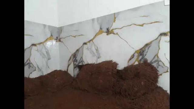 Image 6 of saraandthomas Stream on Chaturbate on 17 days ago