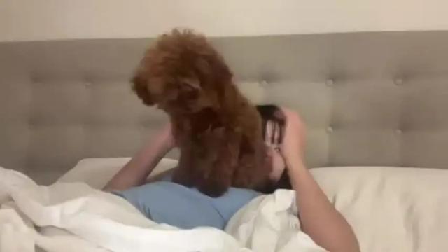 Thumbnail 2, sarah_heart_aus's Stream at Chaturbate, 29 days ago
