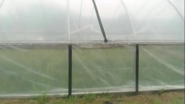 Thumbnail 2, sarahhampton's Stream at Chaturbate, 7 months ago