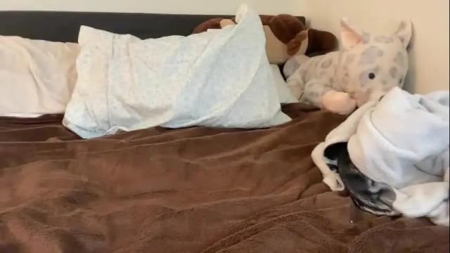 Image 7 of sarahxaoliver1 Stream on Chaturbate on 28 days ago