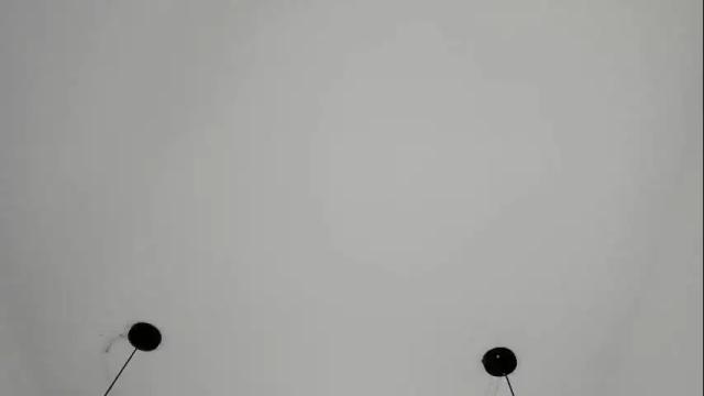 Image 4 of sarasaenz__ Stream on Chaturbate on 1 month ago
