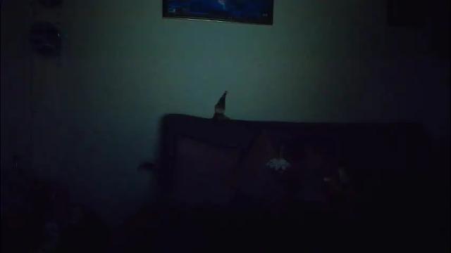 Thumbnail 1, saraygoddess_1's Stream at Chaturbate, 7 days ago